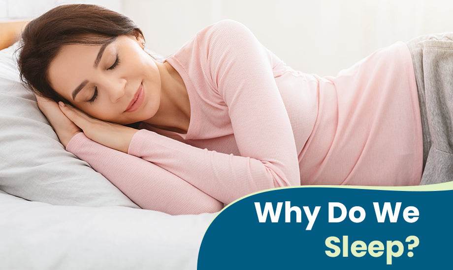 Why We Sleep