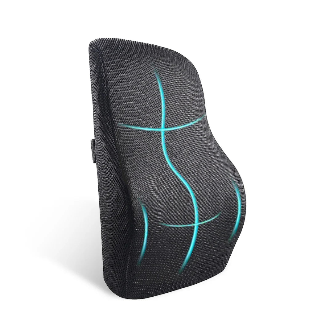 Lumbar Support Pillow & Cushion for Backrest