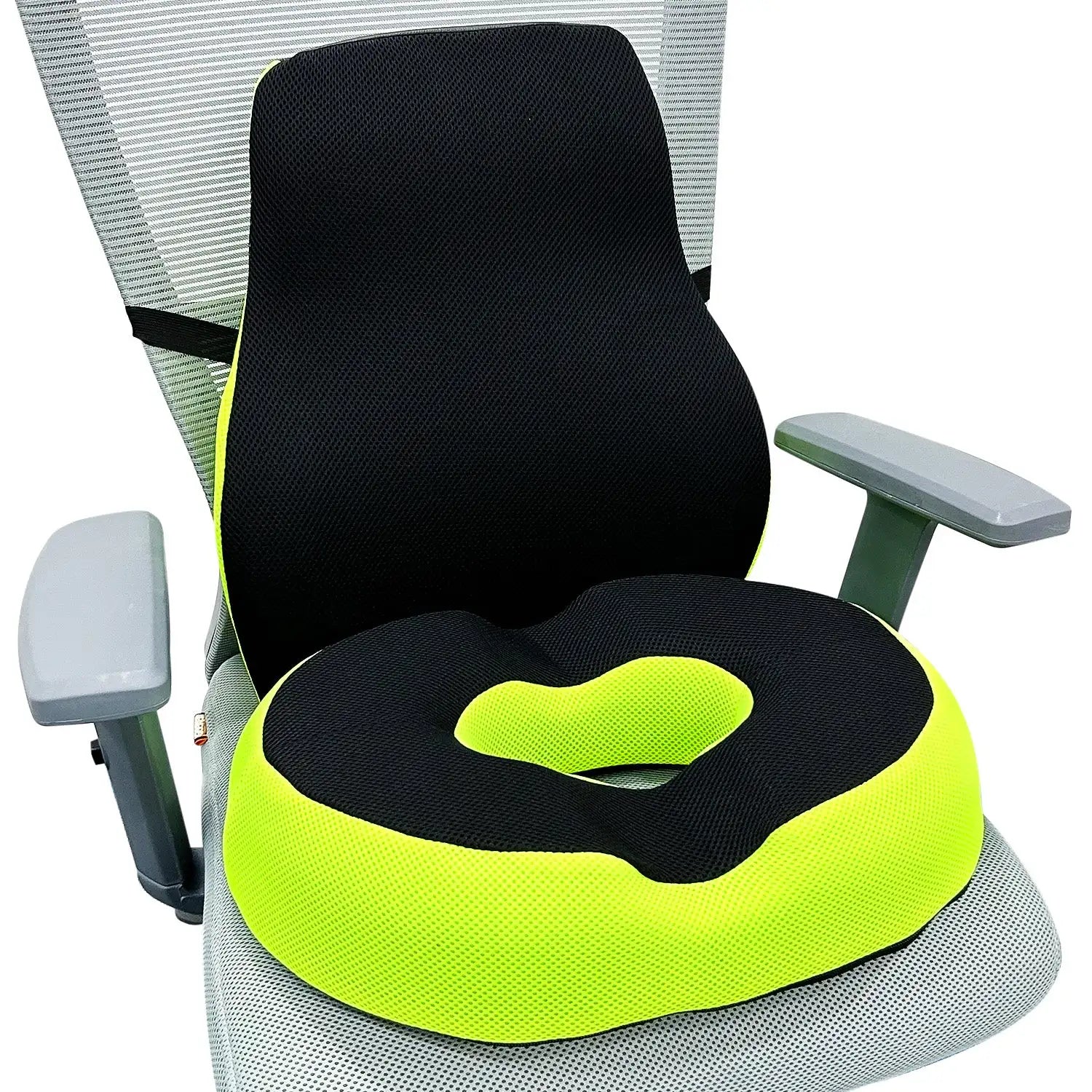 Lumbar Support & Donut Pillow (Combo)