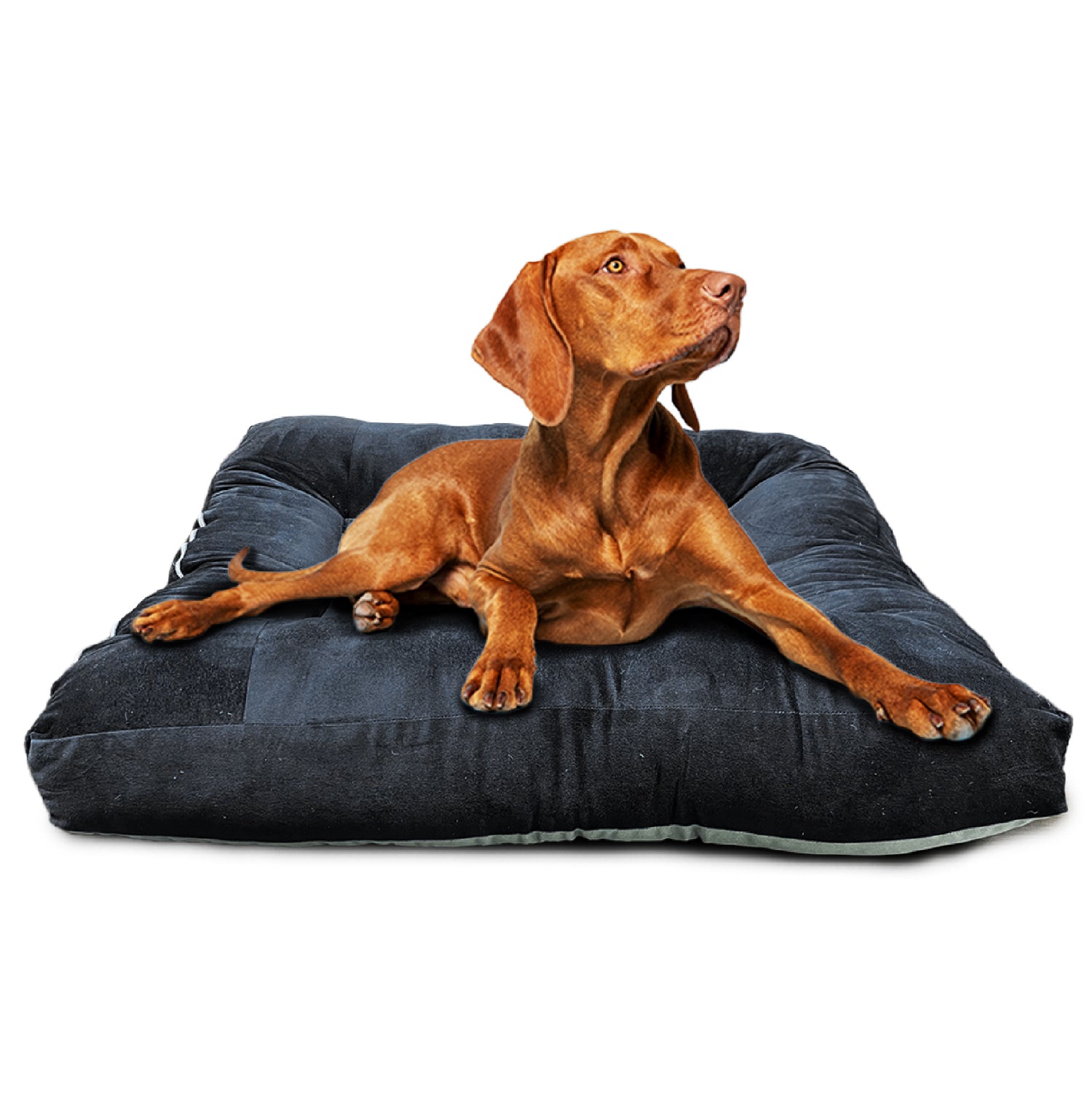 Dog Bed - Super Soft