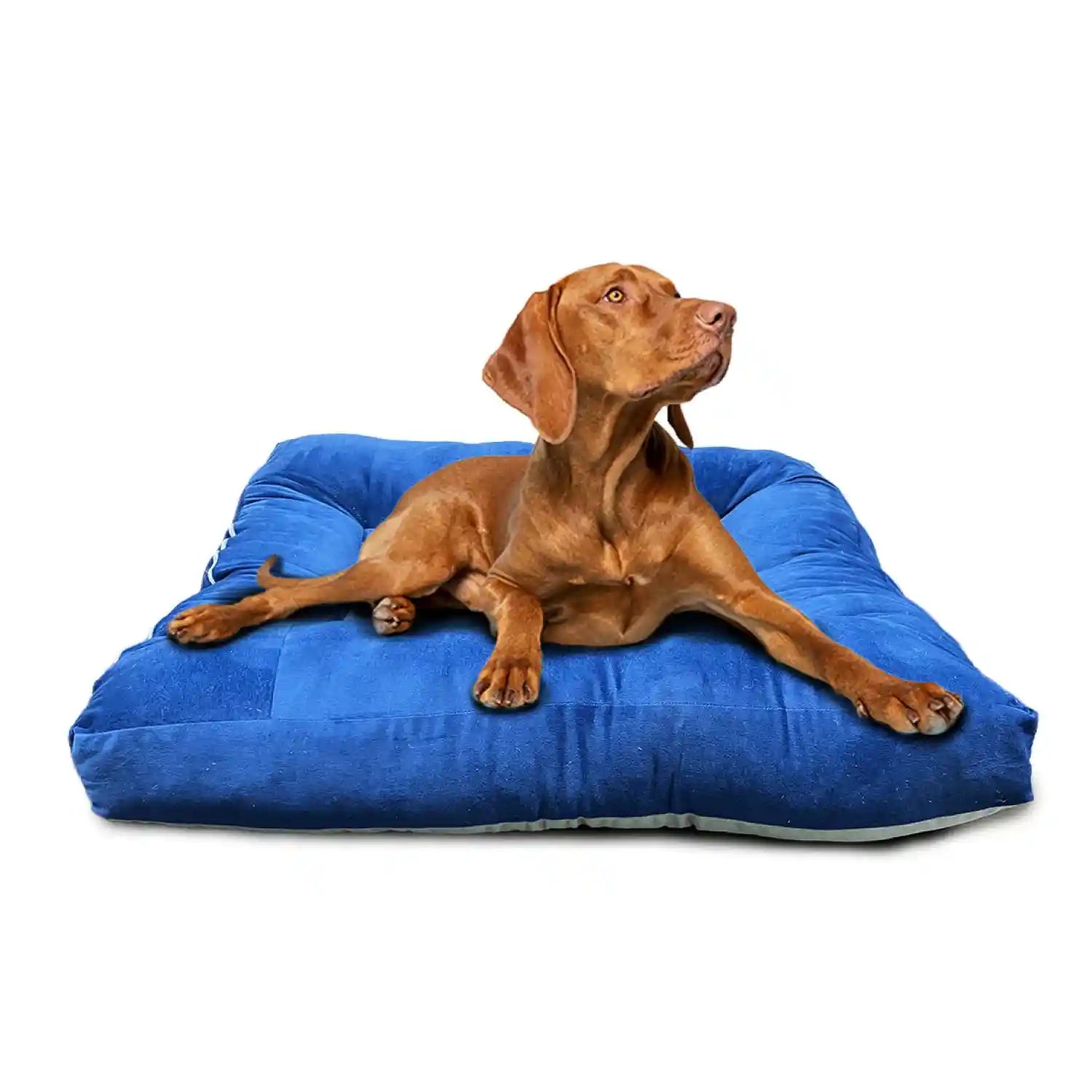 Dog Bed - Super Soft